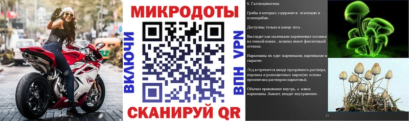 дарнет шоп  Чёрмоз  Псилоцибиновые грибы Psilocybe 